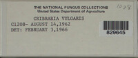Image Associated With the Occurence